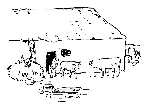 牛小屋と牛:ボナール